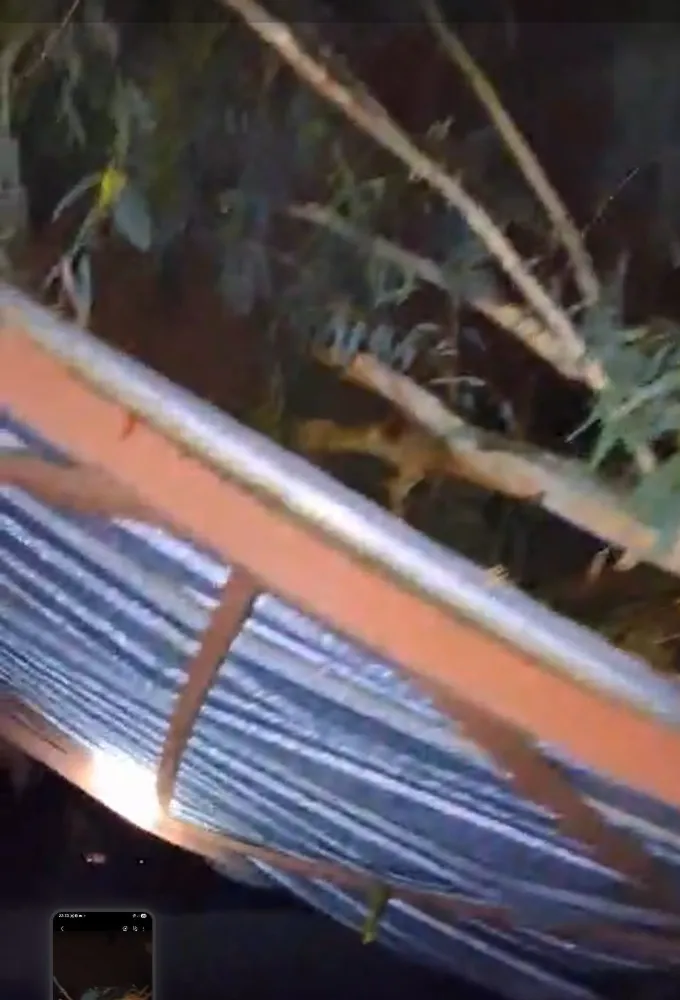 Serik Çakallık mahallesinde mezarlıkta namaz kılınan yerin çatısına ağaç devrildi 