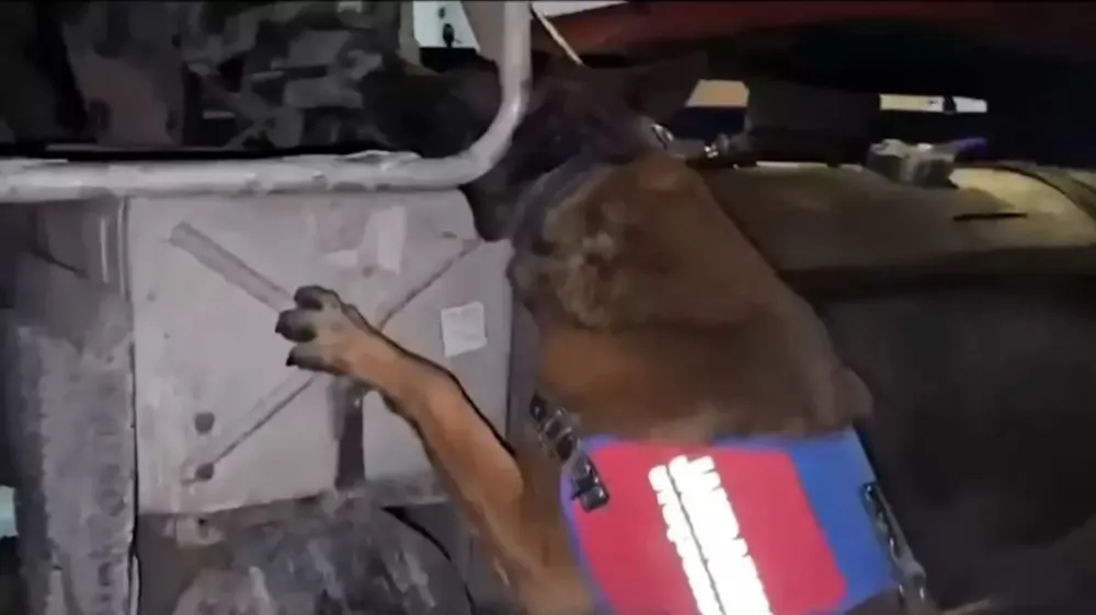 Jandarma’dan uyuşturucu operasyonu