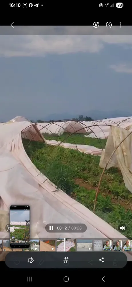 Serik ilçesinde hortum çıktı