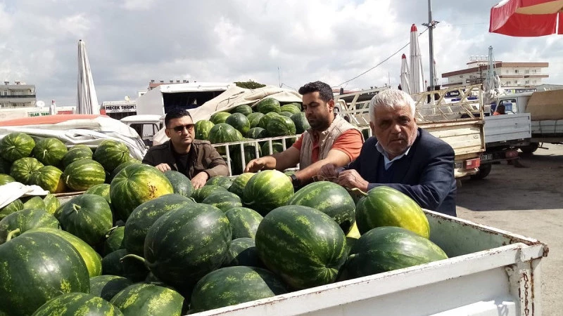 İlçe Tarım Müdürlüğünde karpuzda hasat olgunluğu denetimi