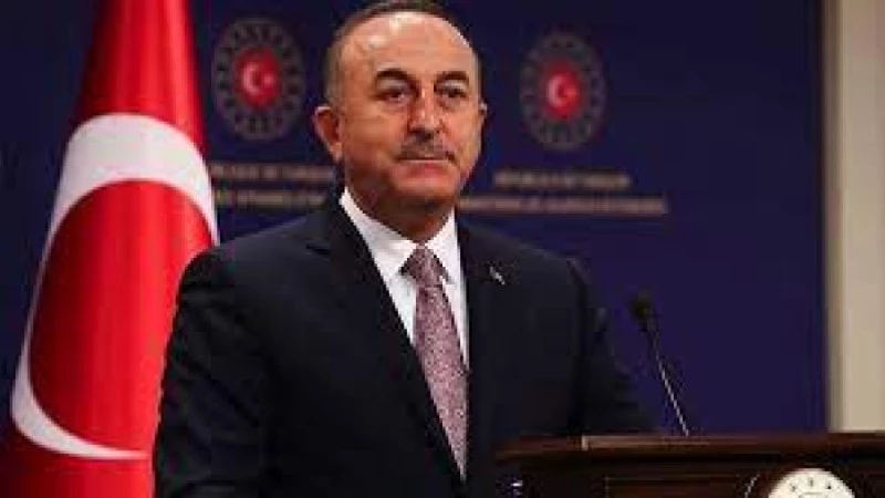 Çavuşoğlu, NATO PA Türk Delegasyonu Başkanı seçildi